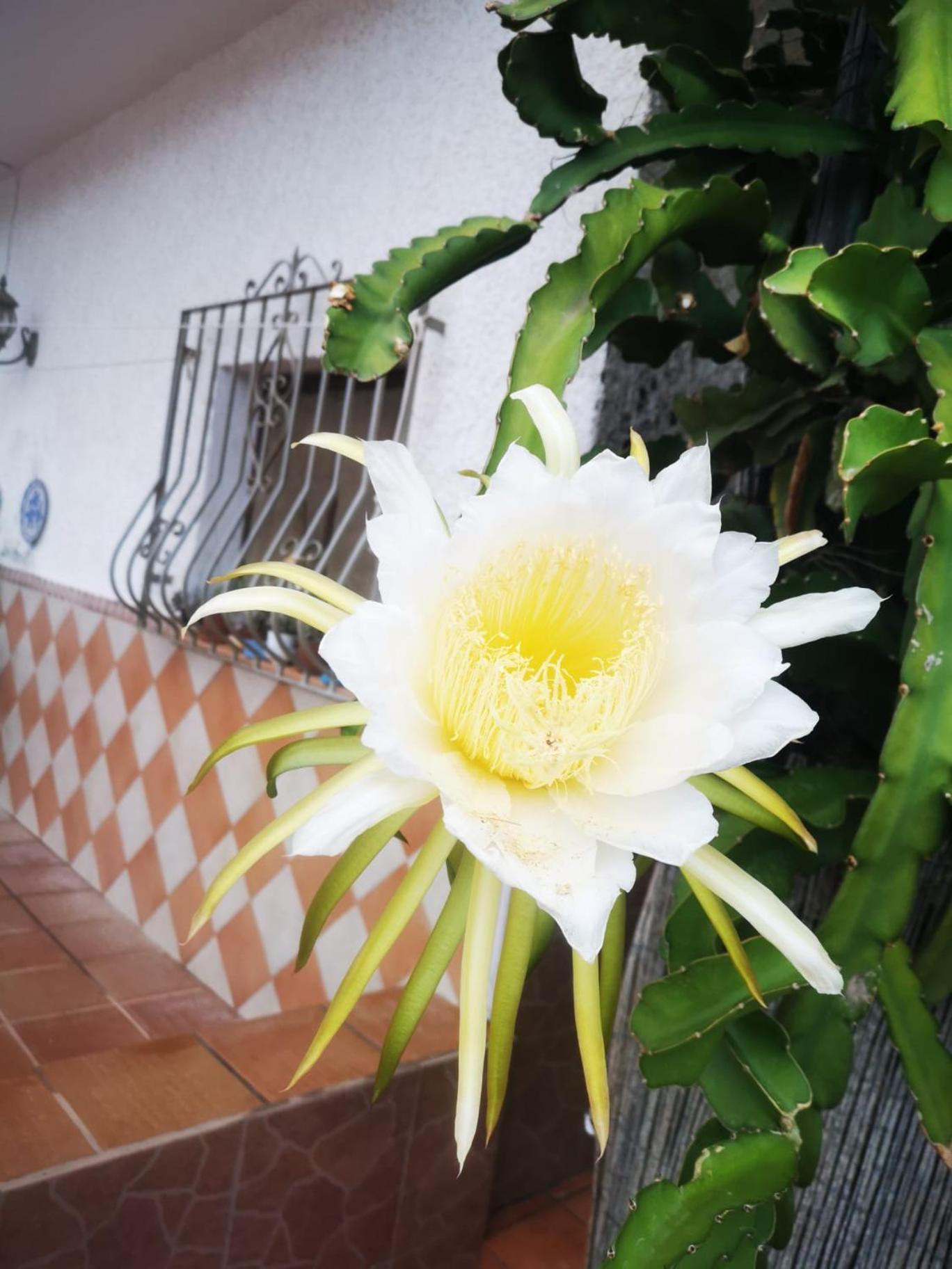 엘 포소 데 로스 프라일레스 Vivienda Rural En Cabo De Gata 아파트 외부 사진